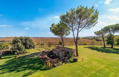Country property for sale Monteroni d'Arbia, Tuscany, Image 14/39