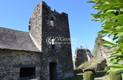 Medieval castle for sale New Aquitaine, Image 5/13