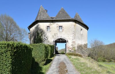 Medieval castle for sale New Aquitaine, Image 1/13