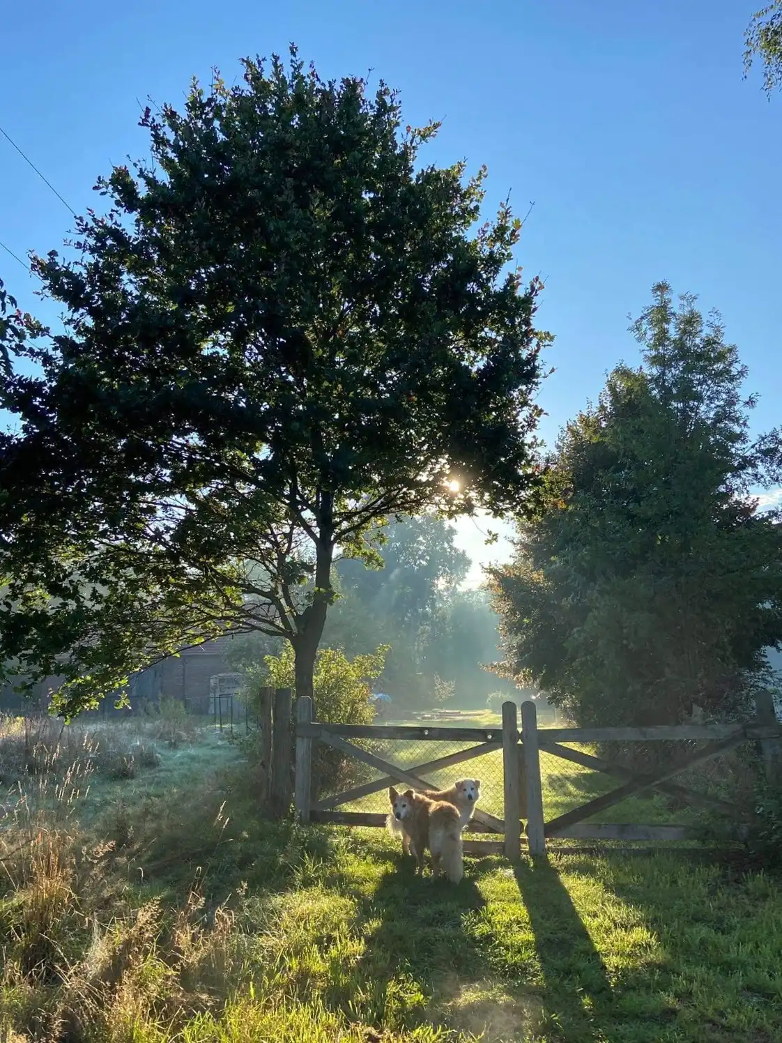 Photos Historic courtyard estate near Görlitz, Western Poland