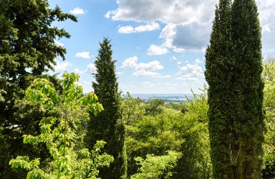 Manor house for sale Limonest, Auvergne-Rhône-Alpes, Image 6/10