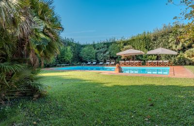 Manor house for sale San Piero a Grado, Tuscany, Image 38/40
