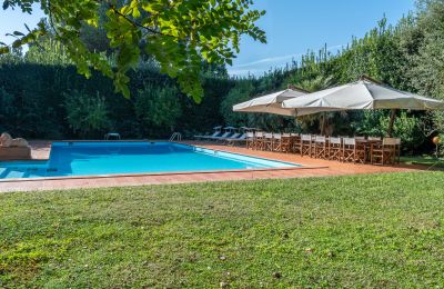 Manor house for sale San Piero a Grado, Tuscany, Image 39/40