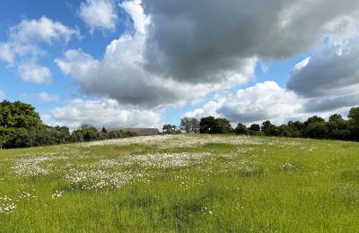Manor house for sale Brandenburg, Koppel