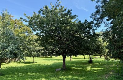 Manor house for sale Brandenburg, Obstbaumgarten