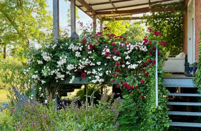 Manor house for sale Brandenburg, Terasse