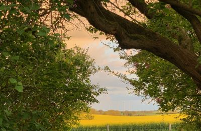 Manor house for sale Brandenburg, Blick auf Koppel - Weitblick