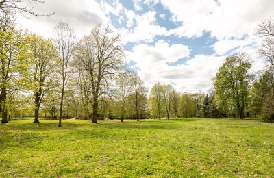 Manor house for sale Strzegocin, Mazovia, Image 20/42
