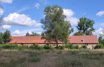 Manor house for sale 66-300 Bobowicko, Lubusz, Image 11/14