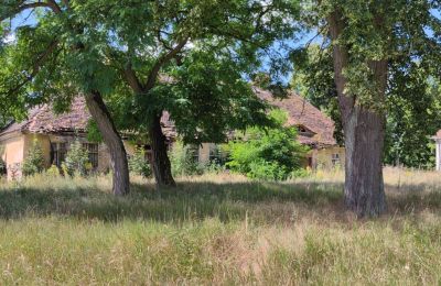 Manor house for sale 66-300 Bobowicko, Lubusz, Image 12/14