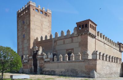Medieval castle for sale Narros de Saldueña, Teniente Cecilio López 48, Castile and León, Image 1/20
