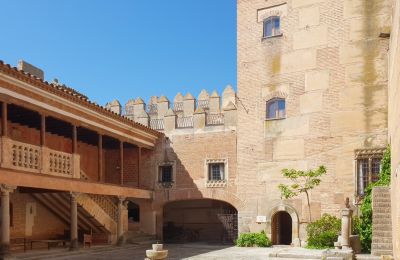 Medieval castle for sale Narros de Saldueña, Teniente Cecilio López 48, Castile and León, Image 5/20