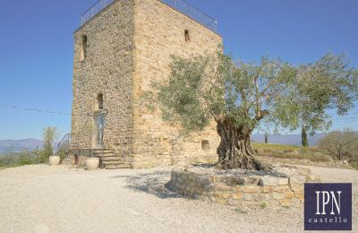 Historic tower for sale 06010 Monte Santa Maria Tiberina, Umbria, Image 25/65