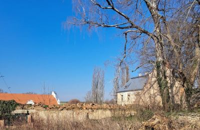 Castle for sale Ronov nad Doubravou, Moravany  1, okres Chrudim, Image 16/17
