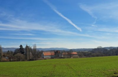Castle for sale Ronov nad Doubravou, Moravany  1, okres Chrudim, Image 17/17