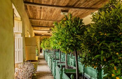 Castle for sale New Aquitaine, Image 15/17