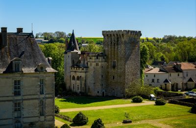 Castle for sale New Aquitaine, Image 5/17
