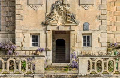 Castle for sale New Aquitaine, Image 7/17