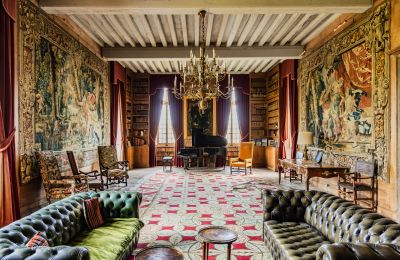 Castle for sale New Aquitaine, Image 8/17