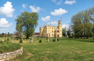 Castle for sale Narok, Opole Region, Palace Garden