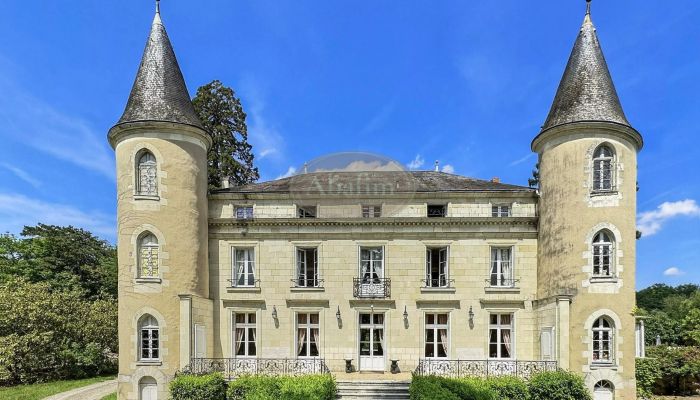Castle for sale La Roche-Posay, New Aquitaine