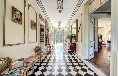 Castle for sale La Roche-Posay, New Aquitaine, Image 6/41