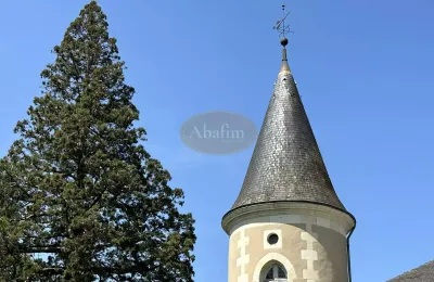 Castle for sale La Roche-Posay, New Aquitaine, Image 40/41