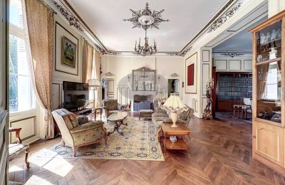 Castle for sale La Roche-Posay, New Aquitaine, Image 8/41