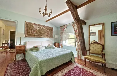 Castle for sale La Roche-Posay, New Aquitaine, Image 11/41
