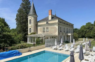 Castle for sale La Roche-Posay, New Aquitaine, Image 5/41