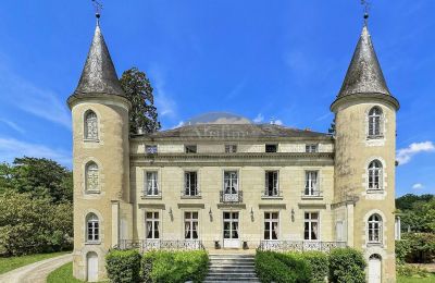 Castle for sale La Roche-Posay, New Aquitaine, Image 1/41