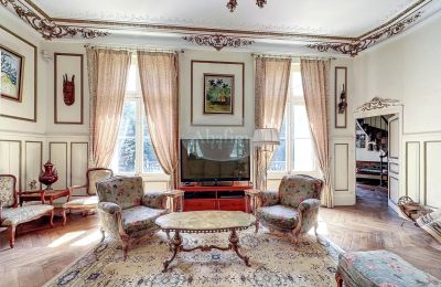 Castle for sale La Roche-Posay, New Aquitaine, Image 9/41