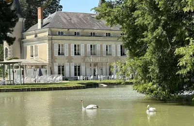 Castle for sale La Roche-Posay, New Aquitaine, Image 3/41