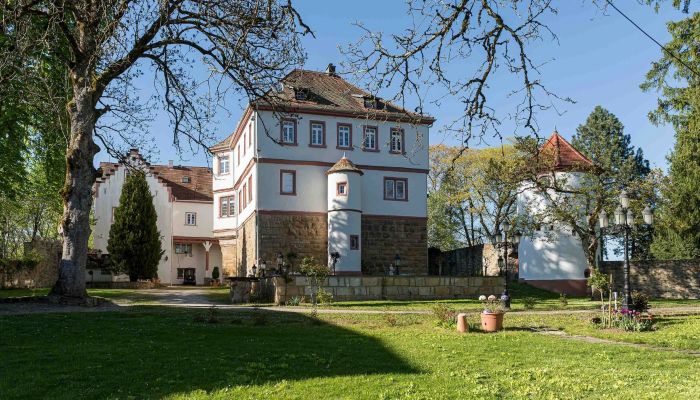 Castle Baden-Württemberg