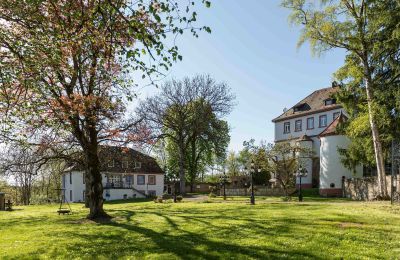 Castle for sale Baden-Württemberg, Schlosspark - Praxishaus