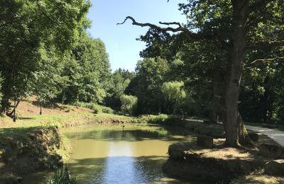 Castle for sale Baden-Württemberg, Teich
