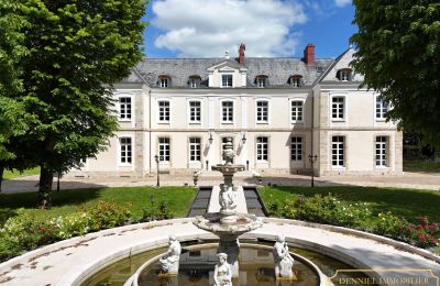 Historic properties, Classical château near Provins, Seine-et-Marne - not listed as a historic monument