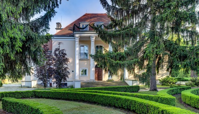 Castle for sale Smoszewo, Mazovia