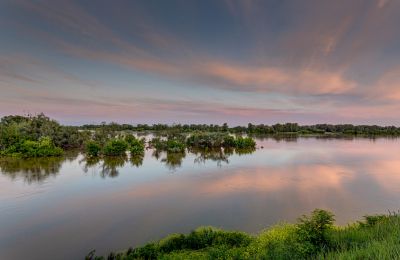 Castle for sale Smoszewo, Mazovia, Image 18/22
