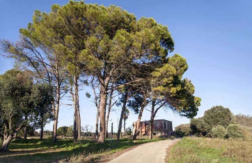 Photos Charming country property in Puglia with land and annexes
