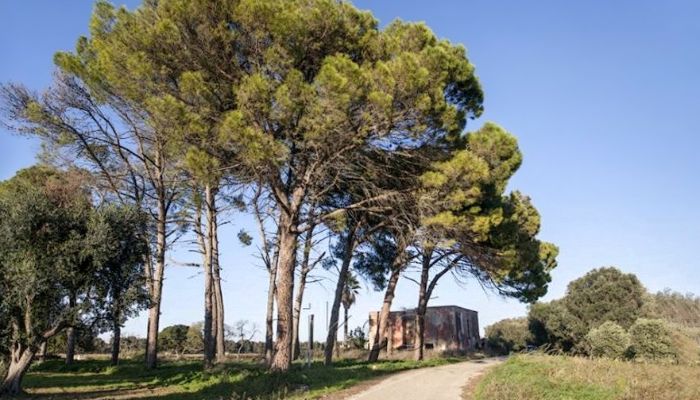 Country House for sale Latiano, Apulia,  Italy