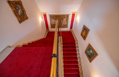 Castle for sale 32683 Barntrup, North Rhine-Westphalia, Treppenhaus