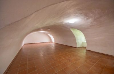 Castle for sale 32683 Barntrup, North Rhine-Westphalia, Kellerraum - Ostflügel