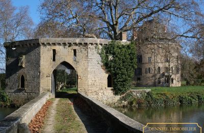 Medieval castle for sale Valence, Auvergne-Rhône-Alpes, Image 3/28