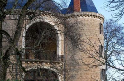 Medieval castle for sale Valence, Auvergne-Rhône-Alpes, Image 7/28