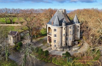 Medieval castle for sale Valence, Auvergne-Rhône-Alpes, Image 1/28