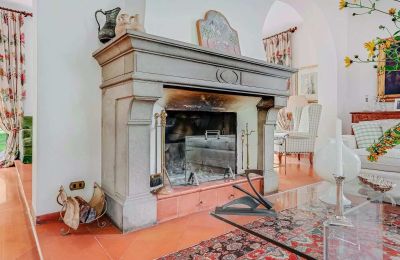 Historic Villa for sale Castelletto Sopra Ticino, Piemont:  Fireplace