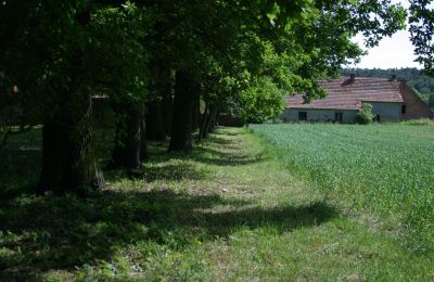 Manor house for sale Rogów Wołowski, Lower Silesia, Image 20/25