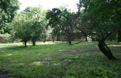 Manor house for sale Rogów Wołowski, Lower Silesia, Image 19/25