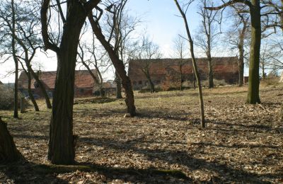 Manor house for sale Rogów Wołowski, Lower Silesia, Image 10/25